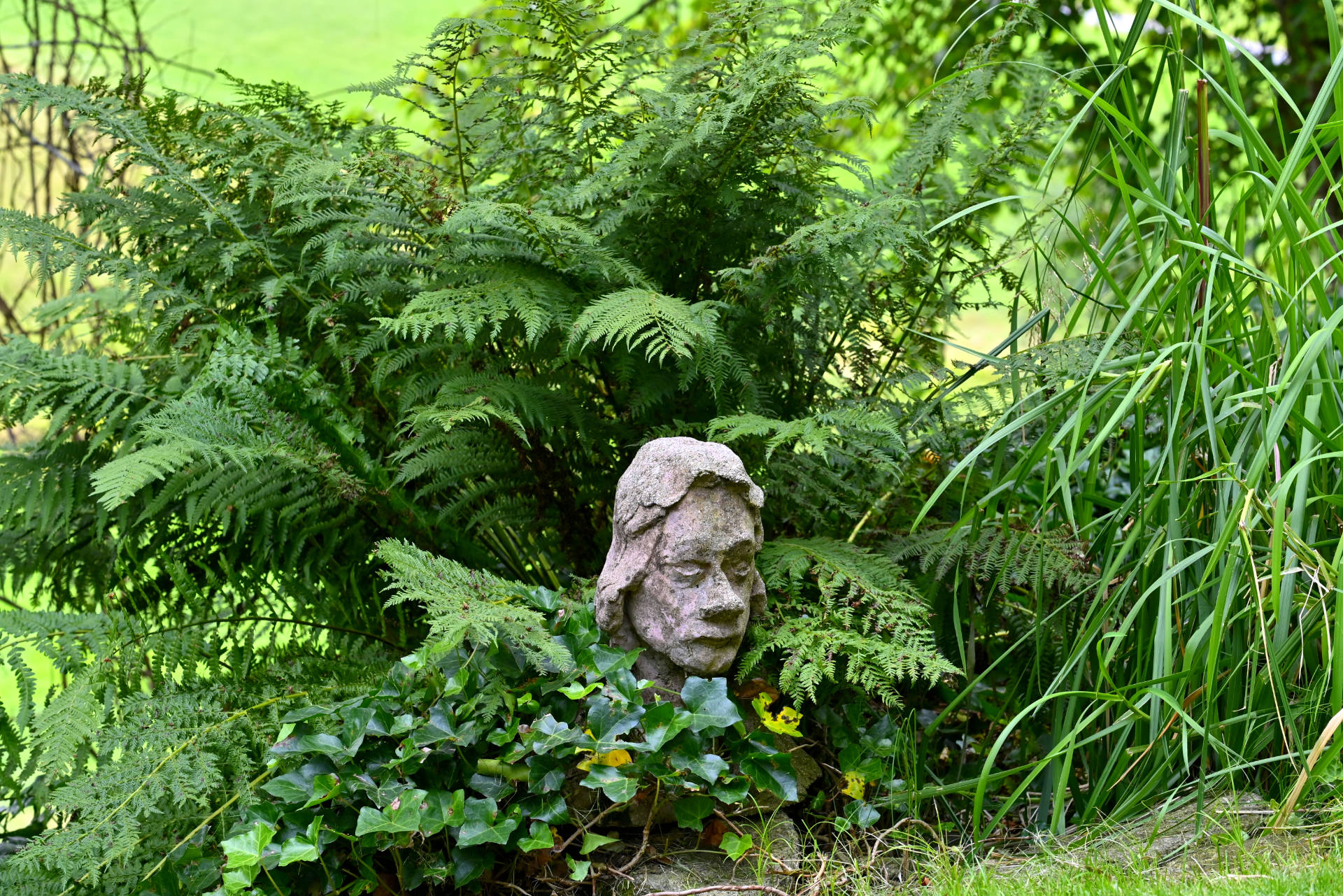 Kunst, die aus der Natur wächst.