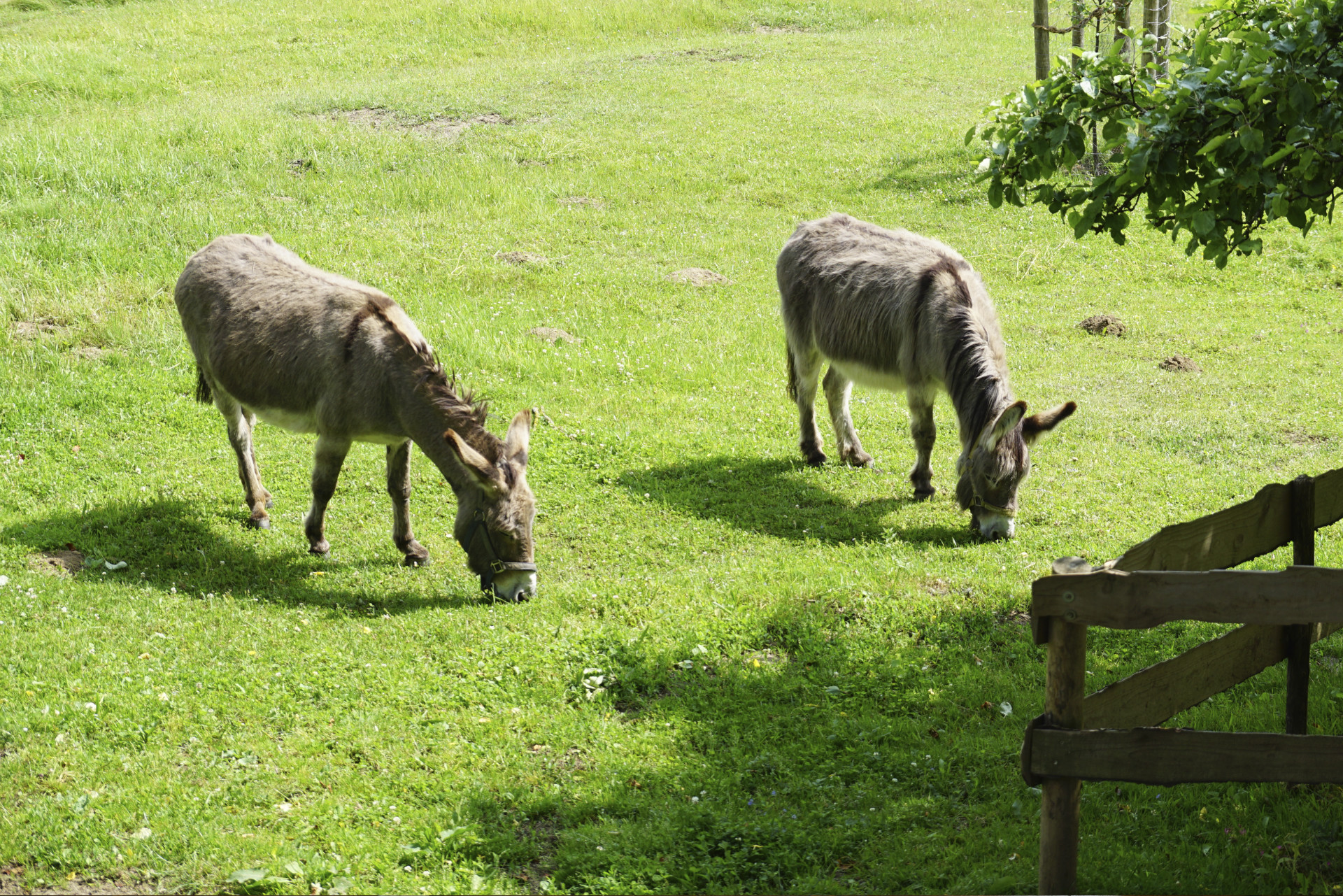 Mutter und Sohn